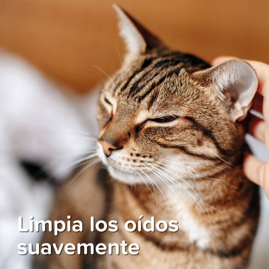 Beaphar Limpiador de Oídos para perros y gatos thumbnail