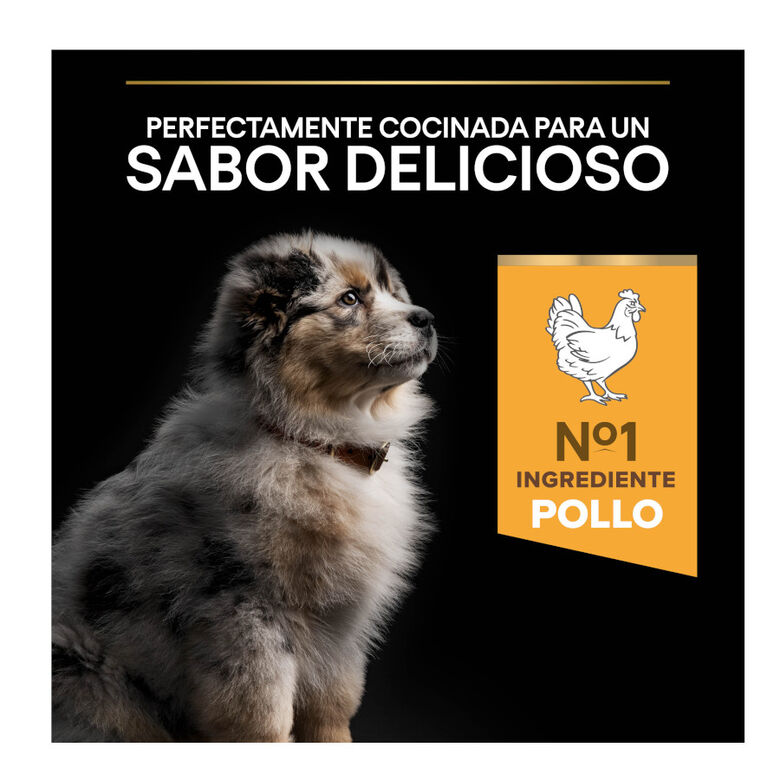 Pro Plan Puppy Medium Pollo pienso para Cachorros thumbnail