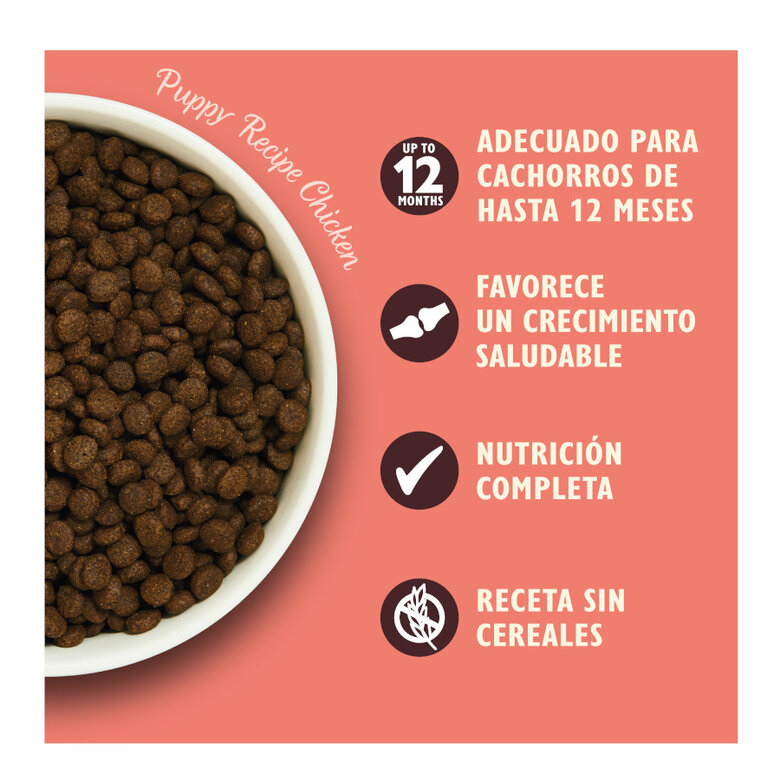 2.5 kg Lily's Kitchen Puppy Pollo y Salmón pienso para cachorros,  Imagen numero 3 2.5 kg Lily's Kitchen Puppy Pollo y Salmón pienso para cachorros, , large Imagen numero 3