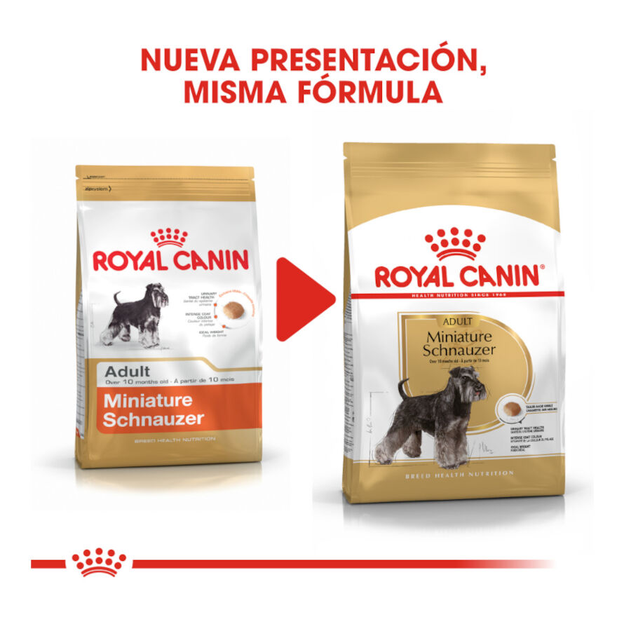 Royal Canin Adult Miniature Schnauzer pienso para perros thumbnail