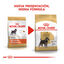 Royal Canin Adult Miniature Schnauzer pienso para perros, , large indicador imagen numero 3
