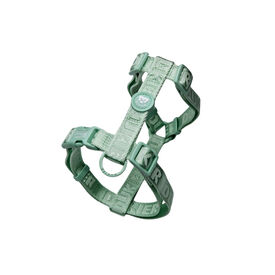 Dukier Arn&eacute;s Cl&aacute;sico Color Verde para perros