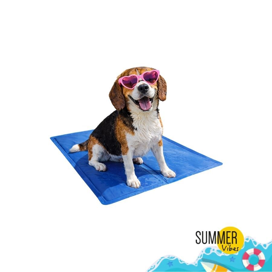 Summer Vibes Manta Refrescante Azul para perros, , large Imagen numero 6
