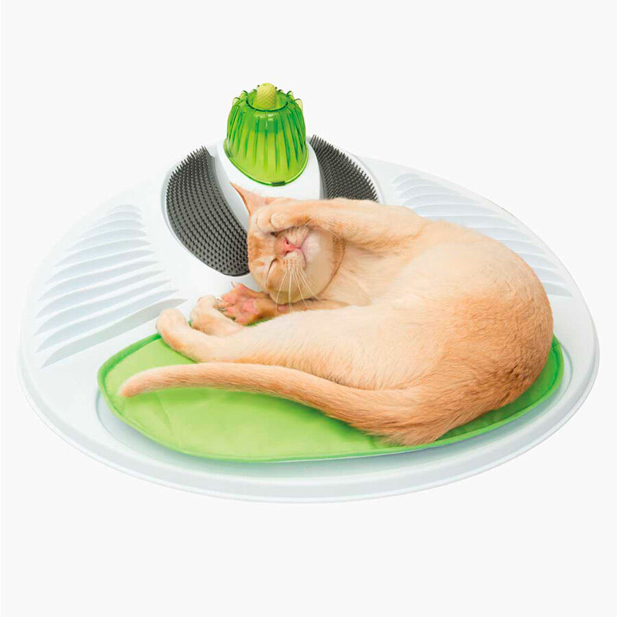 Kiwoko juguetes gato discount