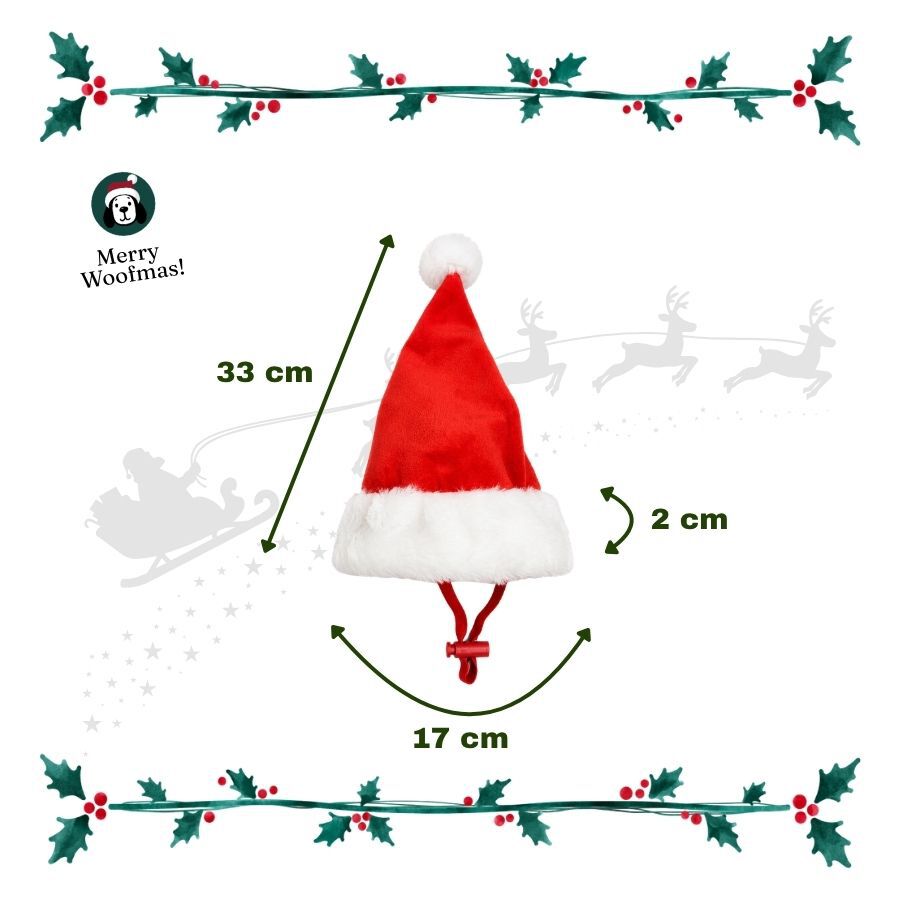 Wonder Christmas Gorro Papa Noel para perros, , large Imagen numero 3