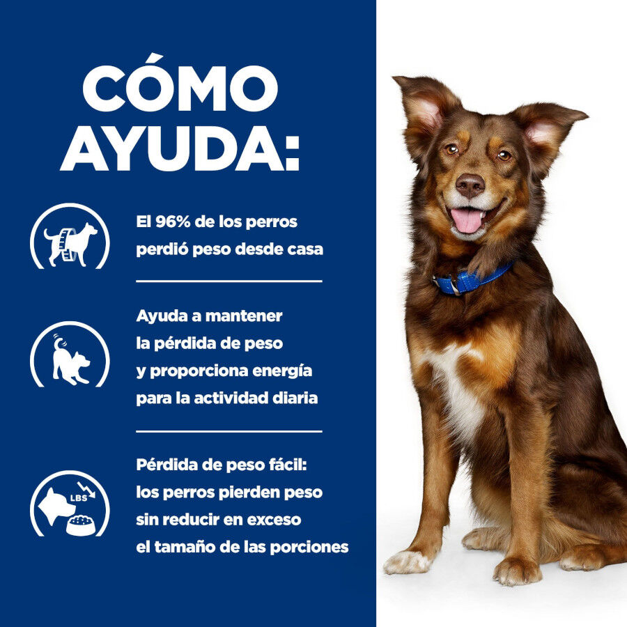 12 kg Hill's Prescription Diet Metabolic Pollo pienso para perros, , large Imagen numero 5