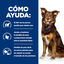 12 kg Hill's Prescription Diet Metabolic Pollo pienso para perros, , large indicador imagen numero 5