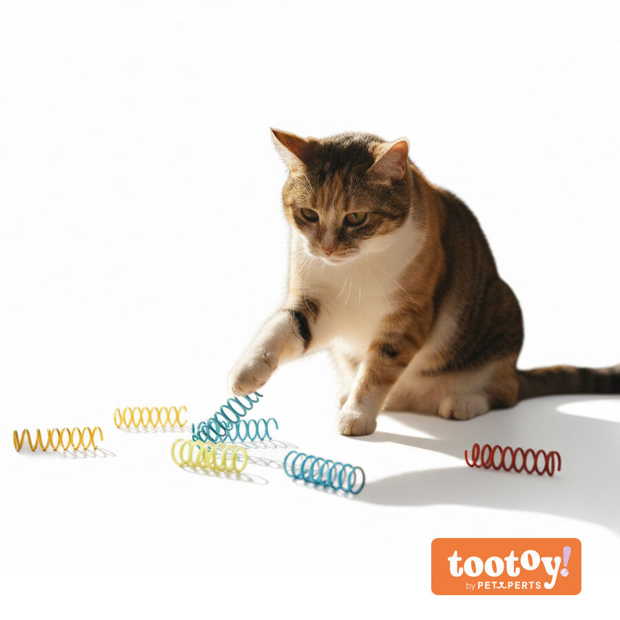 Tootoy! Pack de Muelles de Juguete para gatos, , large Imagen numero 9