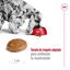 15 kg Royal Canin Medium 7+ Adult pienso para perros senior, , large indicador imagen numero 7