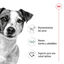 195 g Royal Canin Mini Adult Paté lata para perros, , large indicador imagen numero 3