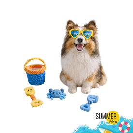 Summer Vibes Set Juguetes para perros