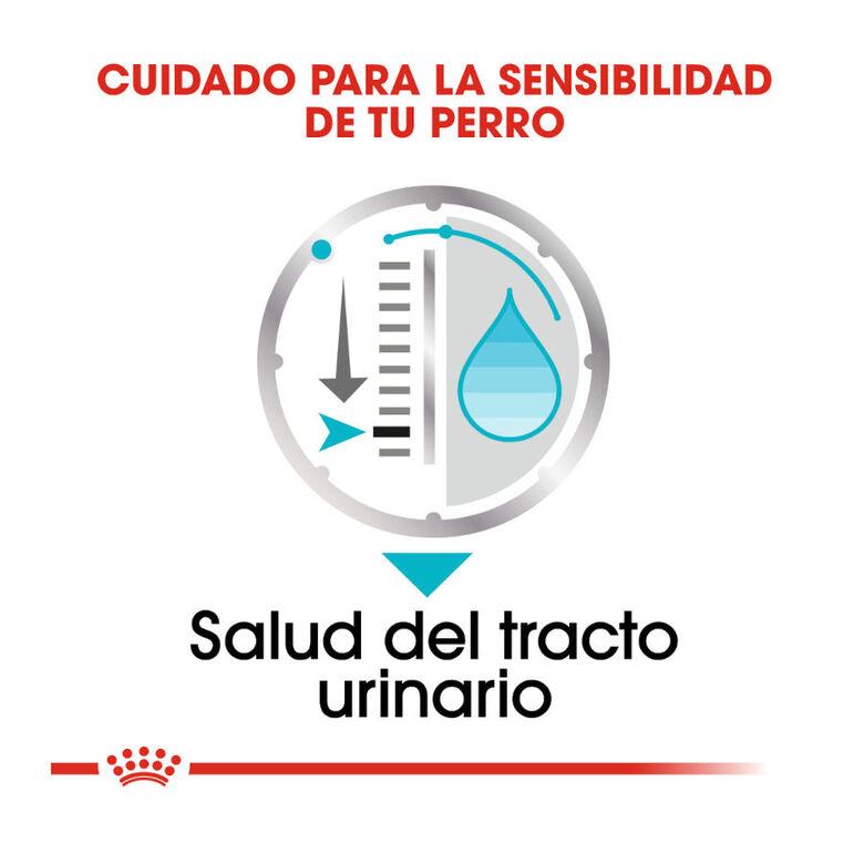 Royal Canin Urinary Care paté sobre para perros thumbnail