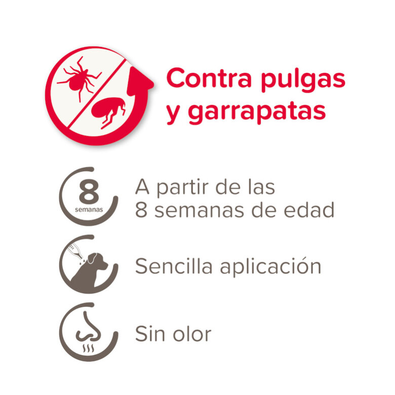 Beaphar FiproTec Pipetas para perros de razas grandes, , large image number null