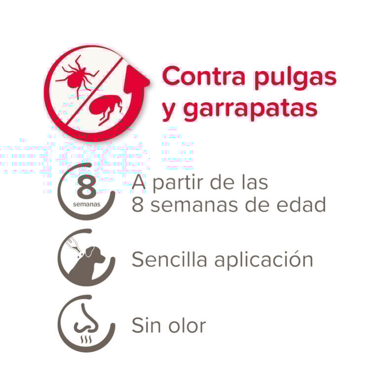 Beaphar FiproTec Pipetas para perros,  Imagen numero 4 Beaphar FiproTec Pipetas para perros, , large Imagen numero 4