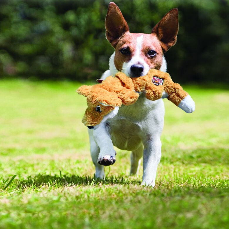 Kong Scrunch Knots Zorro de peluche para perros thumbnail