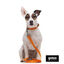 Gotoo Collar de nylon reflectante naranja para perros, , large indicador imagen numero 5