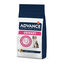 12 kg Advance Veterinary Diets Urinary pienso para perros, , large indicador imagen numero 1