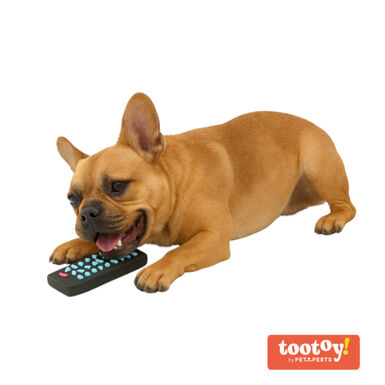 Tootoy! Chew TV Remote Mordedor con sonido para perros
