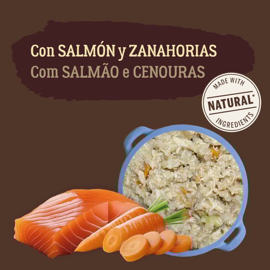 True Origins Pure Gently Coocked Salmón y Zanahorias sobre para perros thumbnail