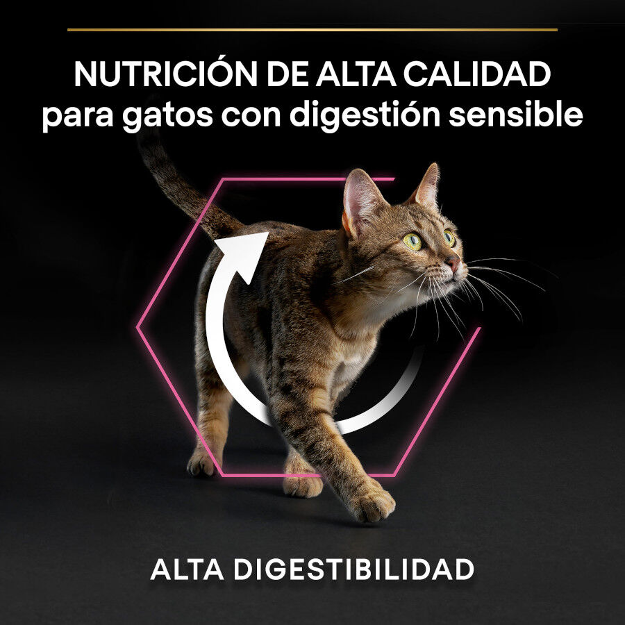 Pro Plan Adult Delicate Digestion pavo pienso para gatos thumbnail