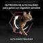 3 kg Pro Plan Adult Delicate Digestion Adult pavo pienso para gatos, , large indicador imagen numero 6