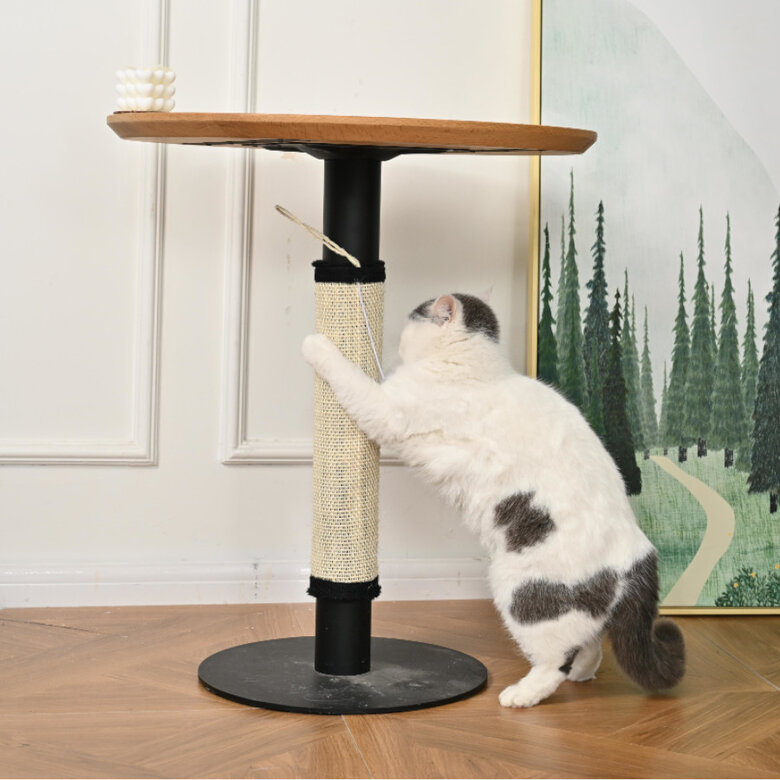 Leeby Tito rascador para pata de mesa con juguete para gatos,  Imagen numero 7 Leeby Tito rascador para pata de mesa con juguete para gatos, , large Imagen numero 7
