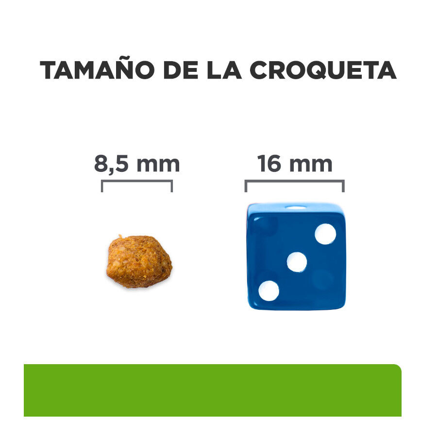 1.5 kg Hill's Prescription Diet Metabolic Salm&oacute;n pienso para gatos, , large Imagen numero 6