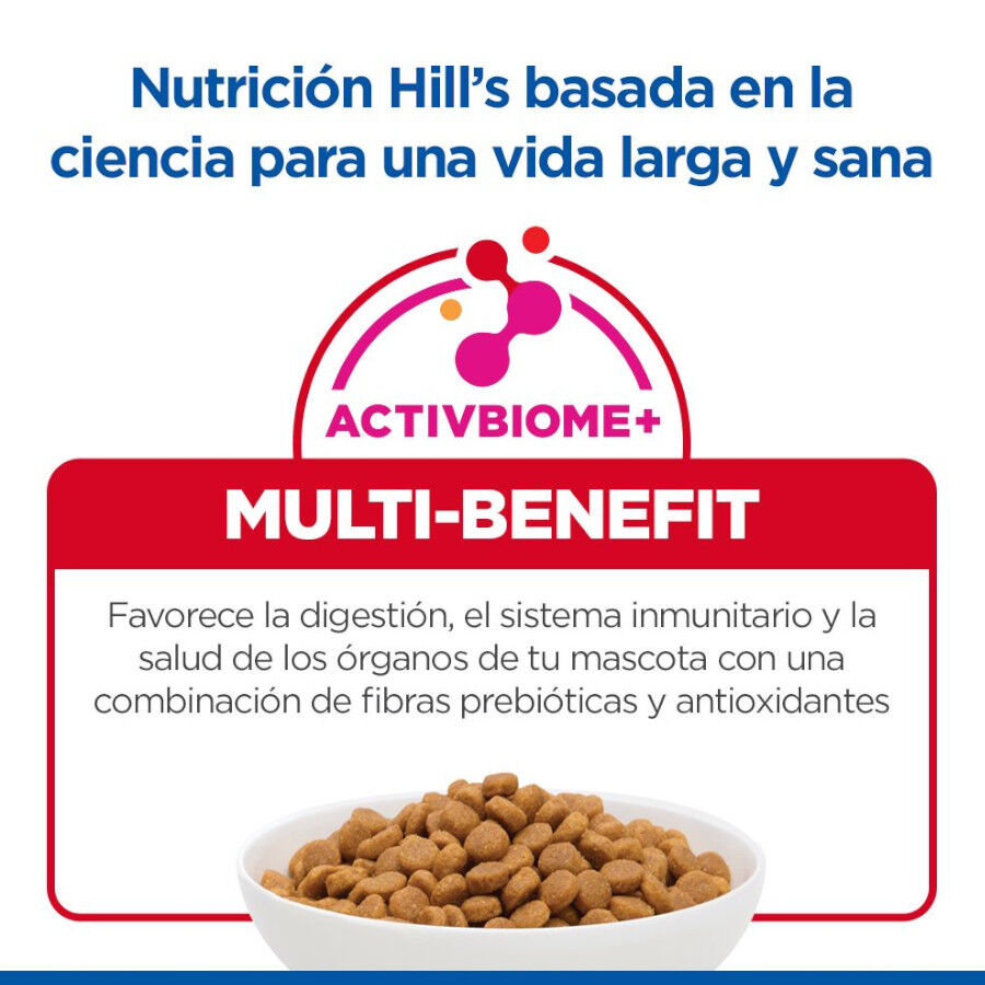 1.5 kg Hill's Science Plan Kitten Pollo pienso para gatos, , large Imagen numero 6