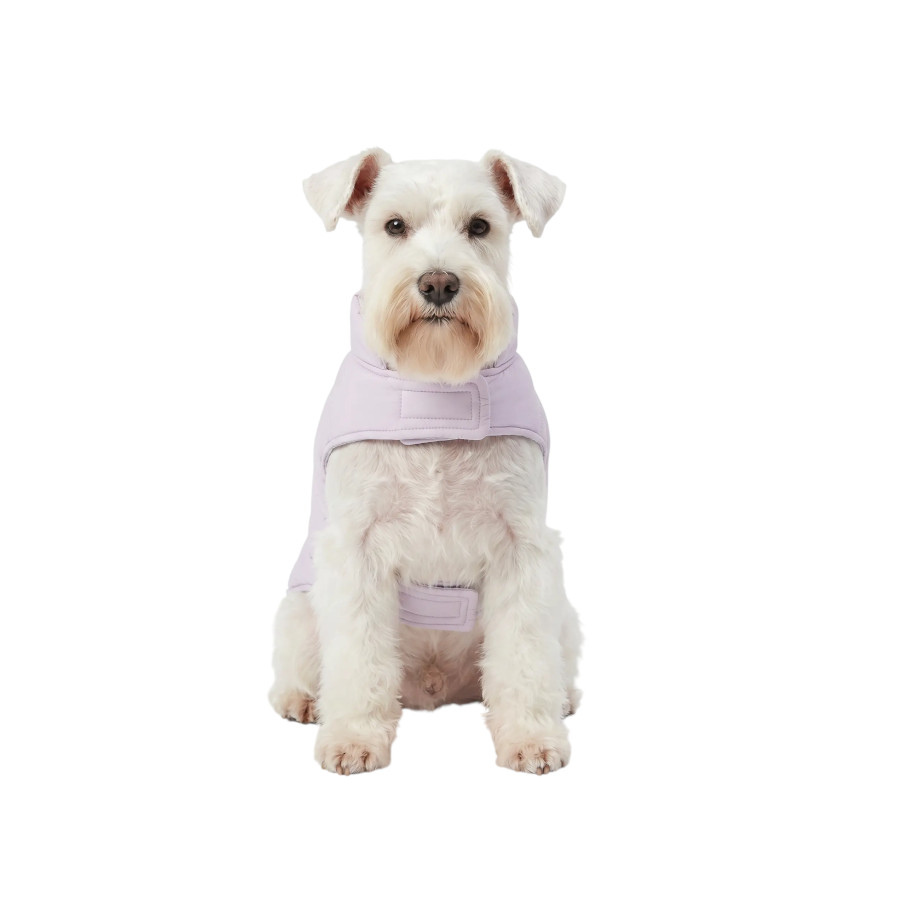 Gotoo Abrigo Lila para perros, , large Imagen numero 7