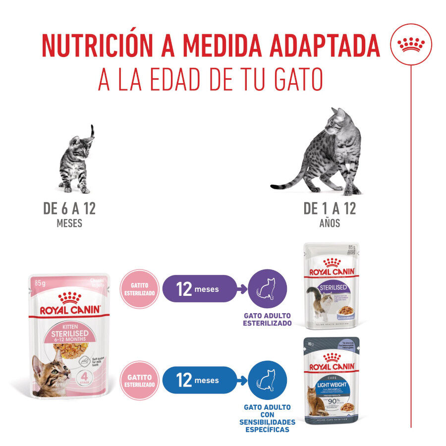 Royal Canin Kitten Sterilised gelatina para gatos thumbnail