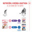 85 g Royal Canin Kitten Sterilised gelatina para gatos, , large indicador imagen numero 6