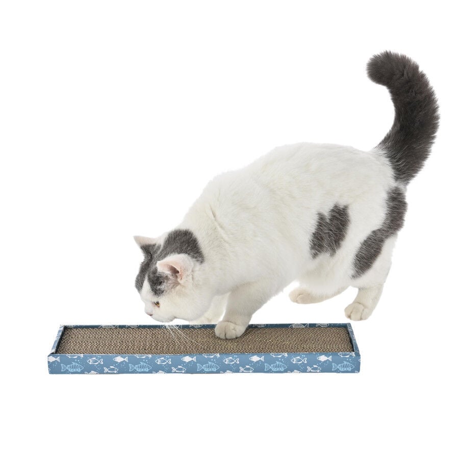 Leeby Fitz tabla rascador de cartón azul para gatos thumbnail