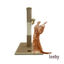 Leeby Mimi rascador de sisal y terciopelo con juguete para gatos, , large indicador imagen numero 2