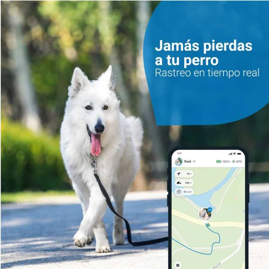 Tractive Localizador GPS color azul para perros, , large Imagen numero 2