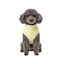 Gotoo Jersey Polar Amarillo para perros, , large indicador imagen numero 7