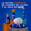 Ceva Douxo Spa Champú 2 en 1 Desenredante para perros, , large indicador imagen numero 6
