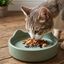 Leeby Comedero de Cer&aacute;mica Azul con Orejitas para gatos, , large indicador imagen numero 1