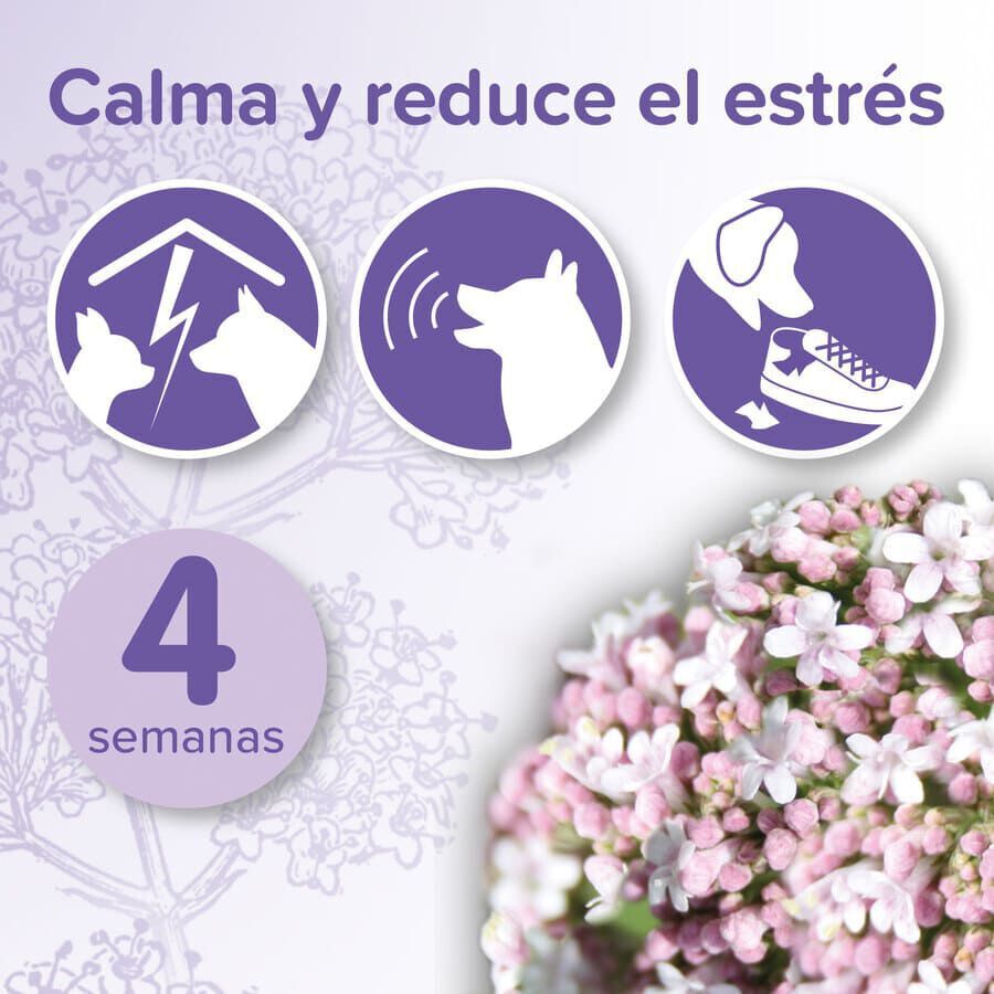 Beaphar No-Stress Difusor de Recambio Anti estrés para perros thumbnail