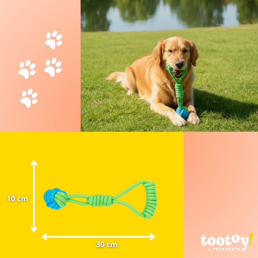 Tootoy! Modedor para Tirar de Cuerda con Pelota Verde y Azul para perros, , large Imagen numero 4
