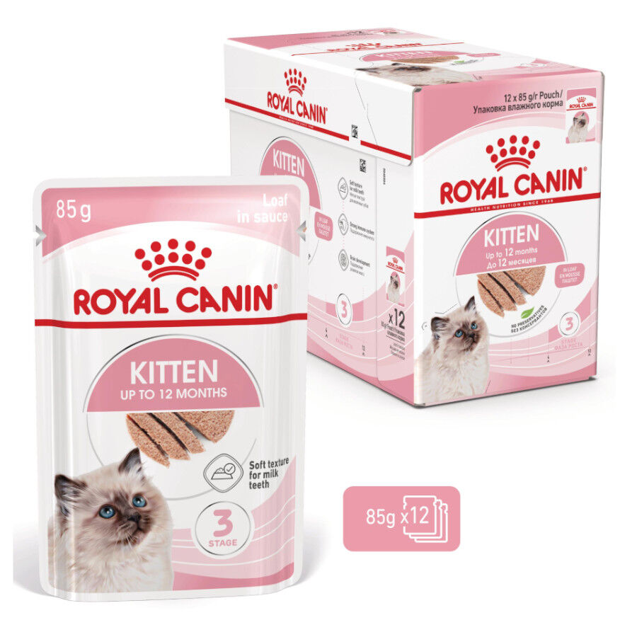 Royal Canin Kitten paté sobre para gatos