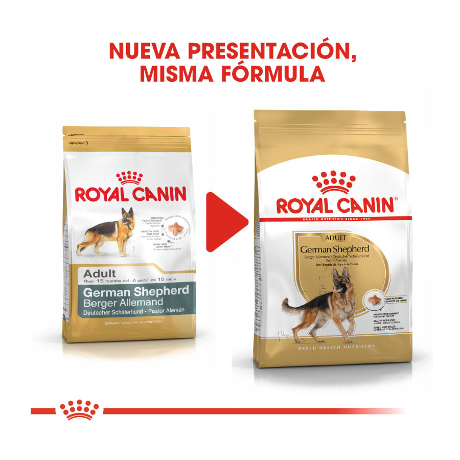 Royal Canin Adult Pastor Alemán pienso para perros thumbnail