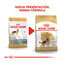 11 kg Royal Canin Adult Pastor Alemán pienso para perros, , large indicador imagen numero 3