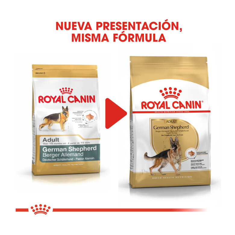 11 kg Royal Canin Adult Pastor Alemán pienso para perros,  Imagen numero 3 11 kg Royal Canin Adult Pastor Alemán pienso para perros, , large Imagen numero 3