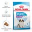 15 kg Royal Canin Puppy Giant pienso para perros, , large indicador imagen numero 2
