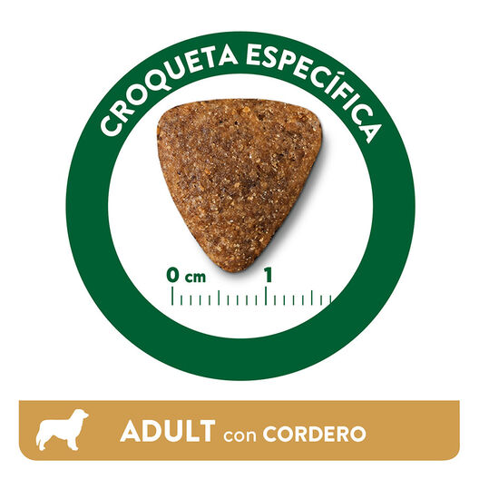 Affinity Libra Adult Cordero pienso para perros, , large image number null