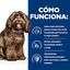 Hill's Prescription Diet Ageing and Alertness Care b/d Pollo pienso para perros, , large indicador imagen numero 5