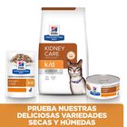Hill's Prescription Diet Kidney Care Pollo pienso para gatos, , large image number null