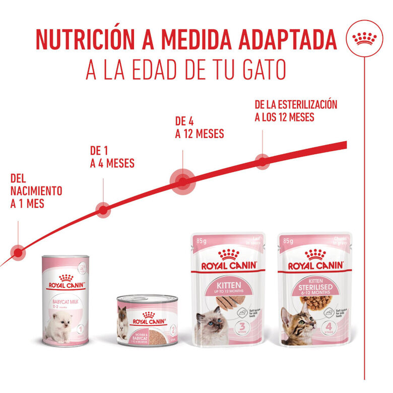 Royal Canin Kitten paté sobre para gatos thumbnail