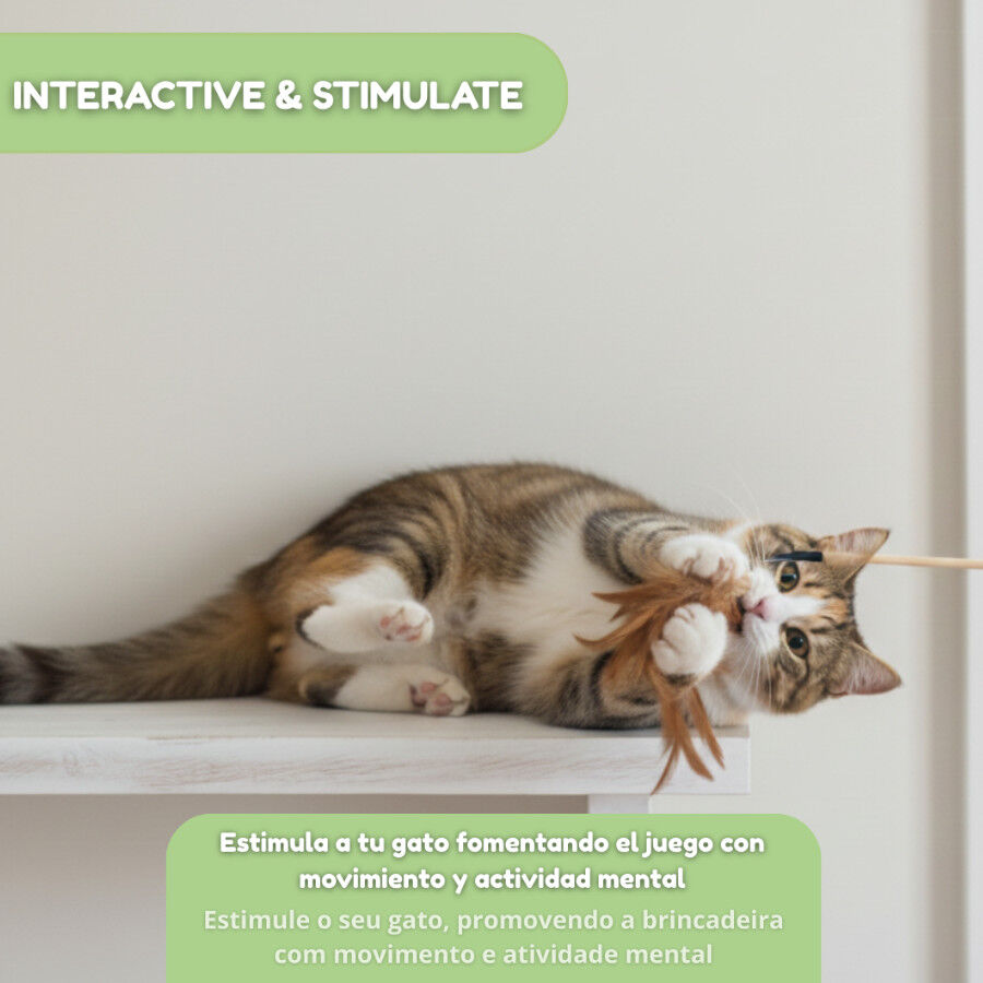 Tootoy! Caña Interactiva con Plumas para gatos thumbnail