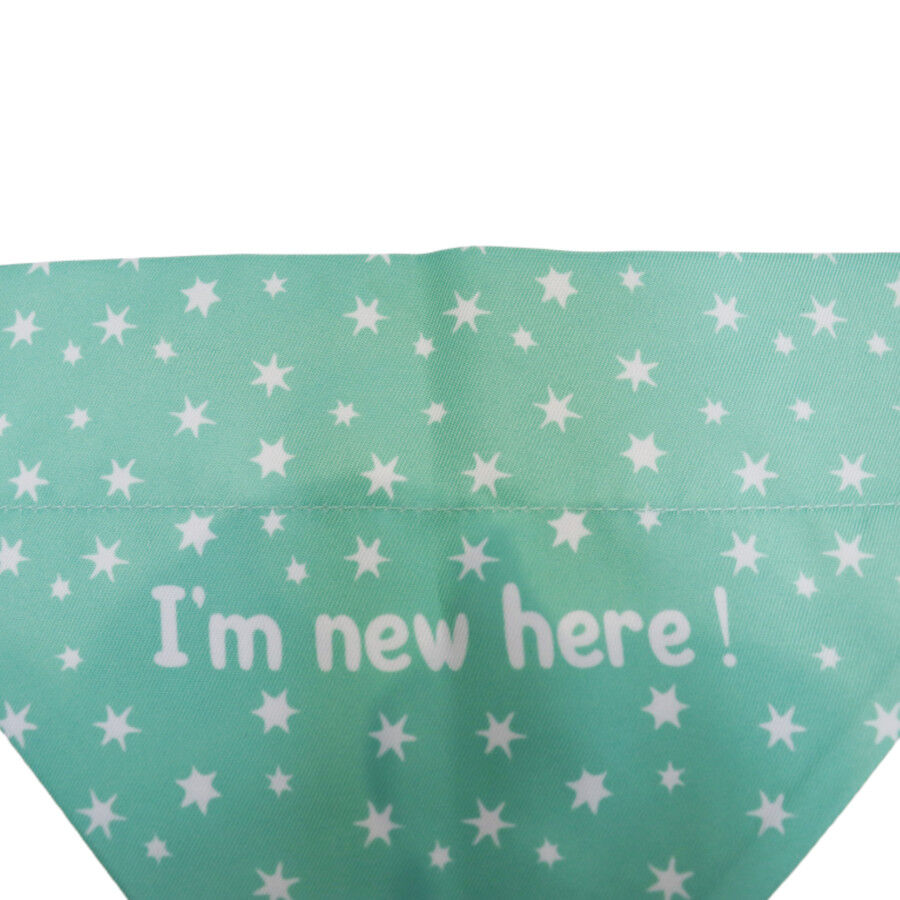 Gotoo Bandana estampada verde para perros, , large Imagen numero 4